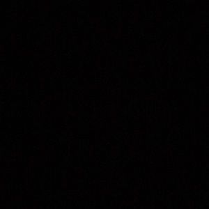 Meet your Posher, Josephine